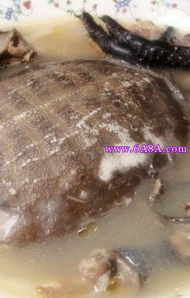 烏雞燉甲魚的做法 烏雞燉甲魚的做法