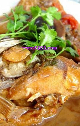 ���t�������~������