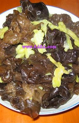 ��ϳ���ľ��������