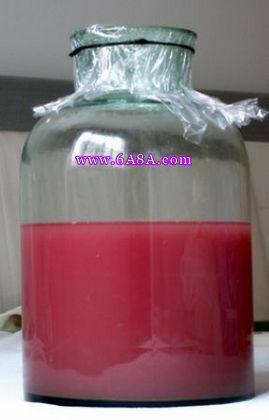 ���ѾƵ�����