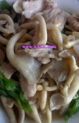 袖珍菇炒肉片的做法 袖珍菇炒肉片的做法