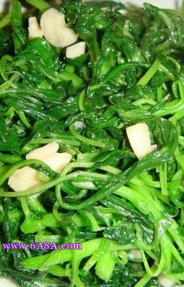 �峴֥���{�˵�����