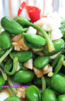 �����S���������