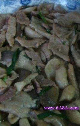 ƽ������Ƭ������