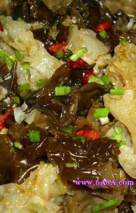 �����p��������