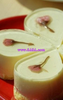 酸奶芝士蛋糕的做法 酸奶芝士蛋糕的做法
