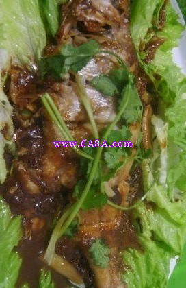 ��ζ�t���S���~������