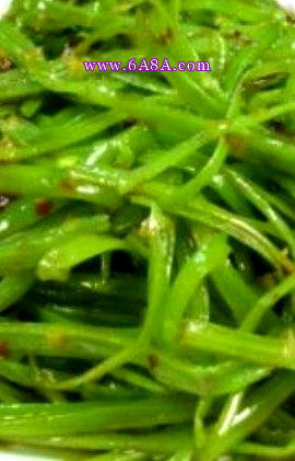 ������Ĳ˹�������