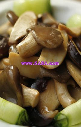 ����ϖ�;���������