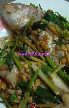 �S���u�F�tɼ�~������