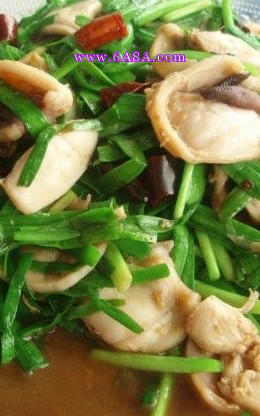 ����צ�~������