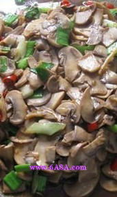 С����Ģ������