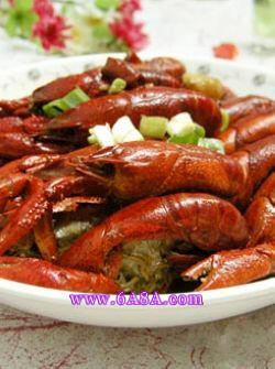 �t�����r������