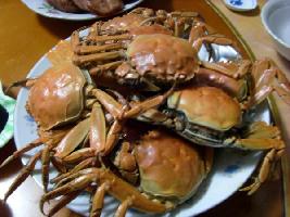 ����з������