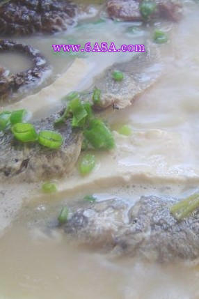 ���~(y��)��������