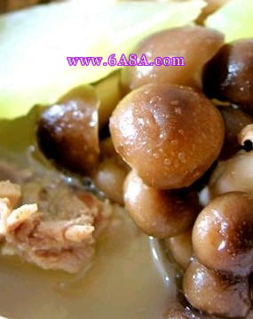 ����Ģ����������