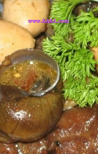 �������i�_������