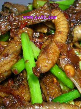 �����X�~������