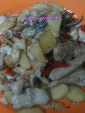 �����~Ƭ������