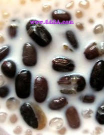 紅豆西米露的做法 紅豆西米露的做法