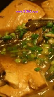 �S���~�F����������