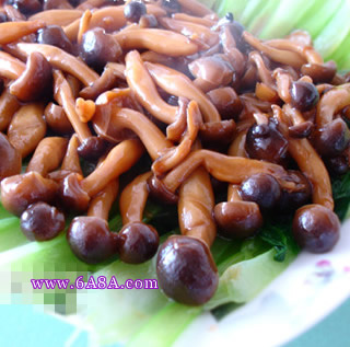 蟹味菇扒油菜的做法 蟹味菇扒油菜的做法