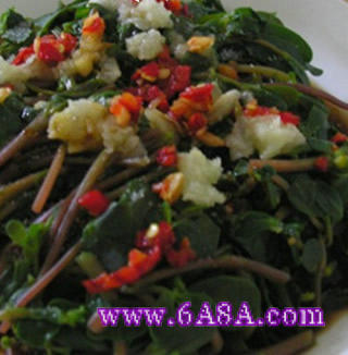 �����R�X�{������