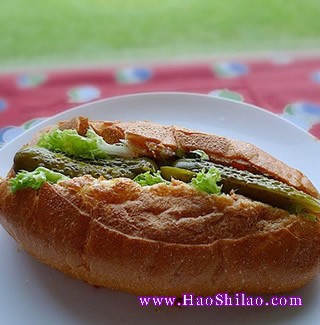 簡(jiǎn)易漢堡包的做法 簡(jiǎn)易漢堡包的做法