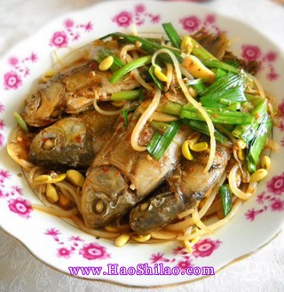 ��ѿ���a�~������