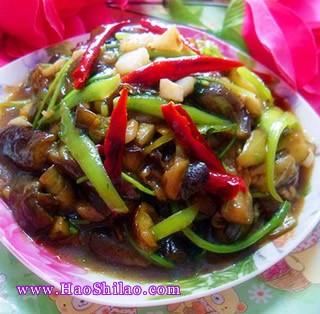 �����������ӵ�����