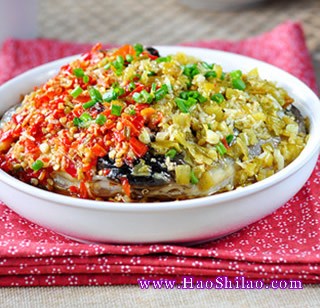 �p���~�^������