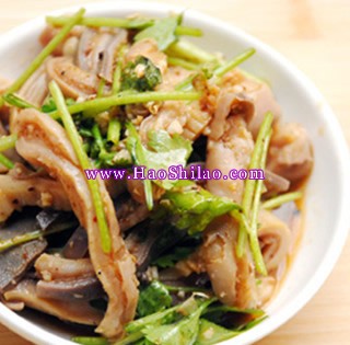 �t�Ͷǽz������