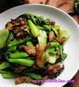 �Ͳ˳�Ģ��������