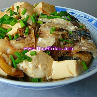 �t���~�^����������