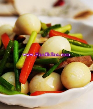 ��̦����������