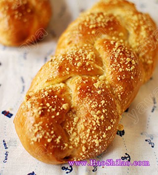 �p�����������