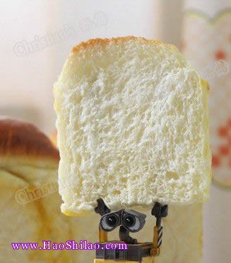 ţ����˾������