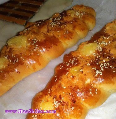 �p���������������