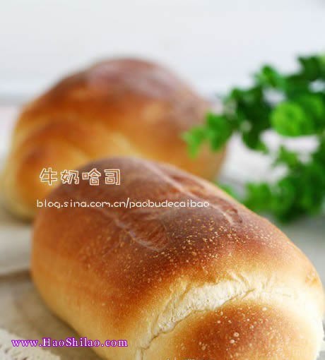 ţ�̹�˾������