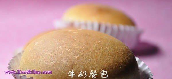 ţ�̲Ͱ�������