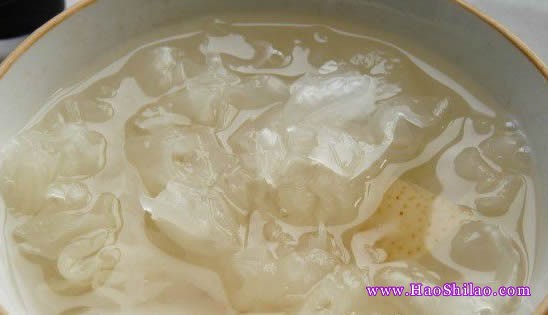 �y��ѩ�末������