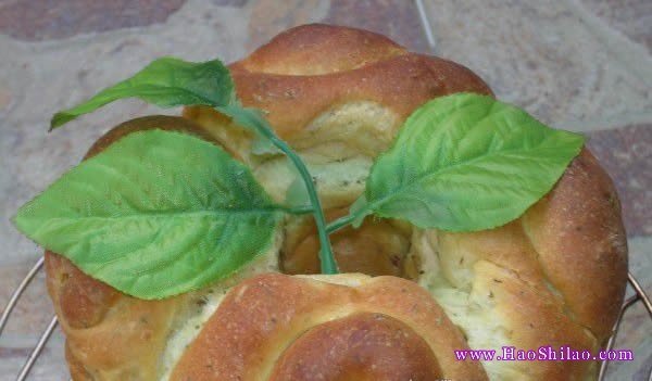 �������������������