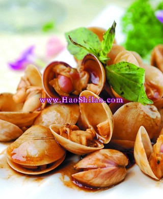 ΢�������۵�����