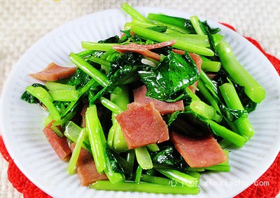 ���ȳ��ײ�̦������