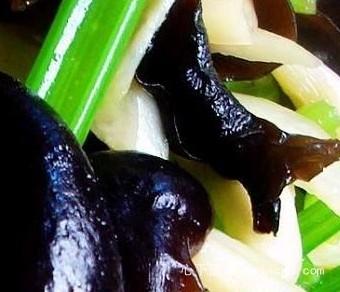 ��ľ�����p�������