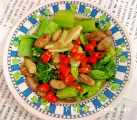 ����ּt��������