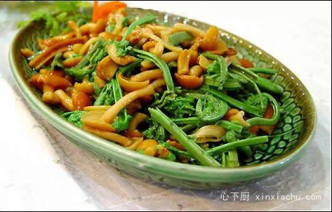 �R�����z������