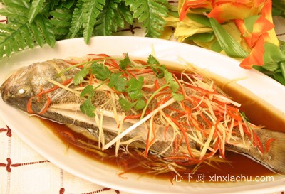 ����ȝ�� �����|�~������