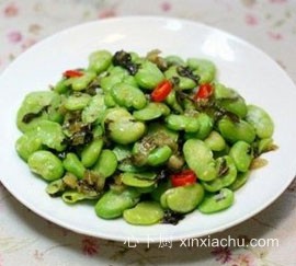 �̲˳��Q��������