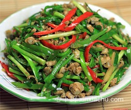 ���z�²˳�ɳ͘������